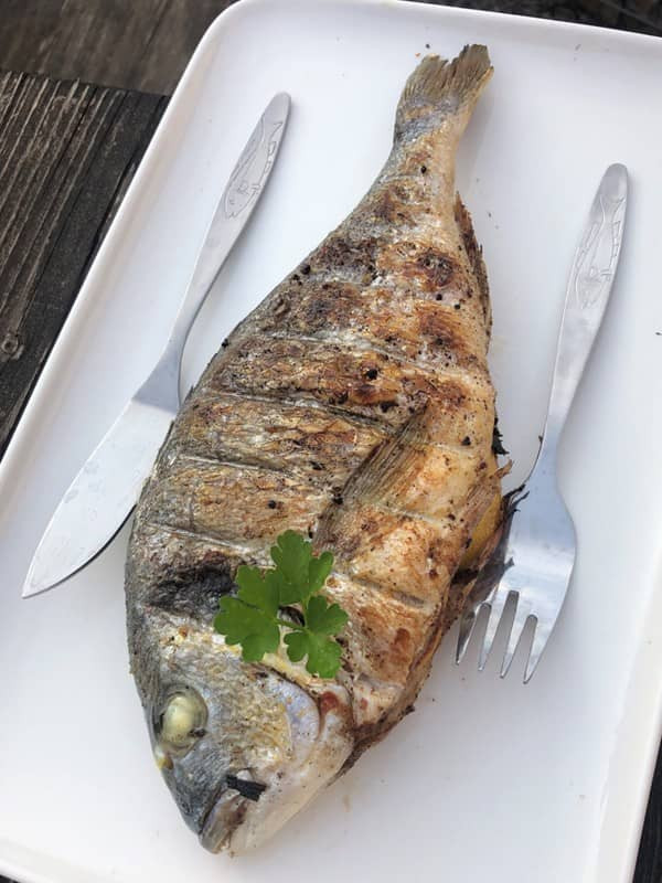 Dorade frisch gegrillt