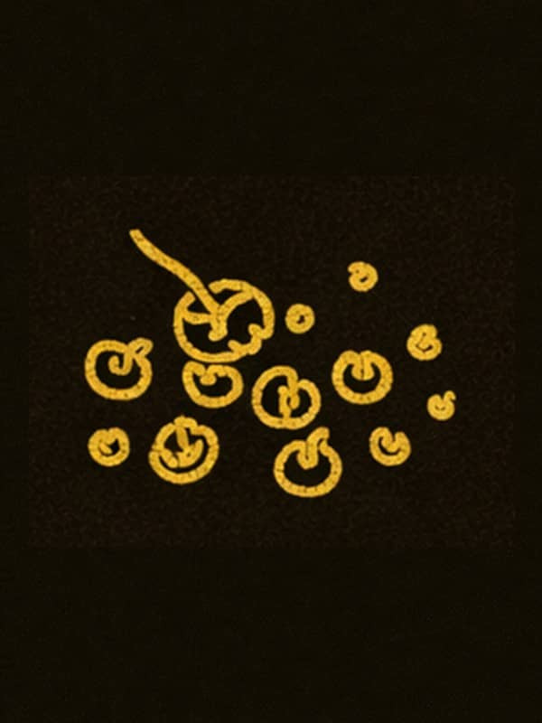 Schwarzer Pfeffer in der Mühle