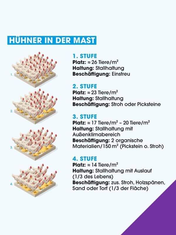 haltungsform kuehe rez