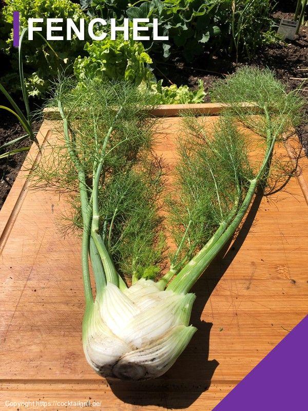Fenchel