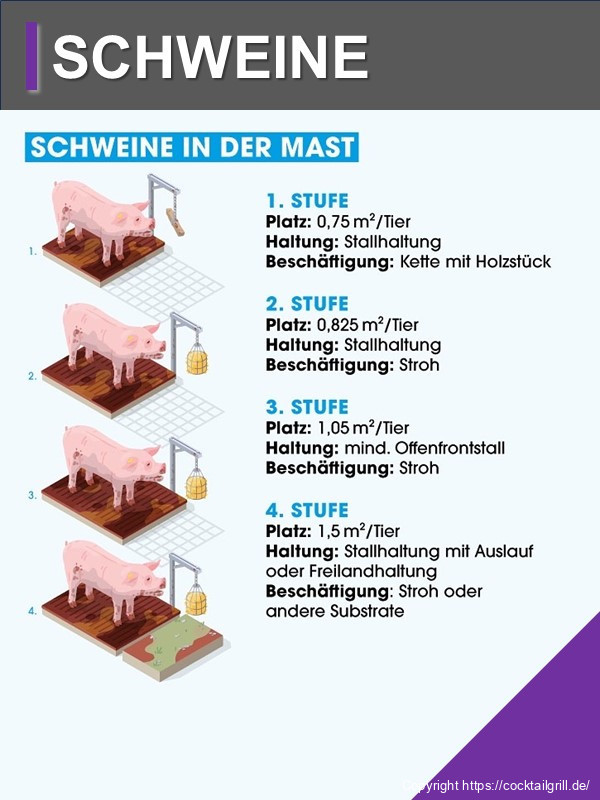 Schweine Haltungsform