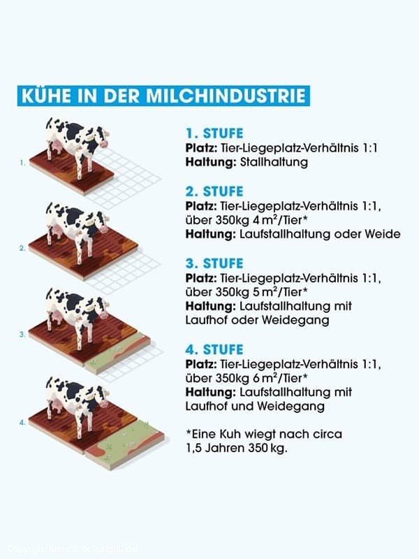 Kühe Haltungsform