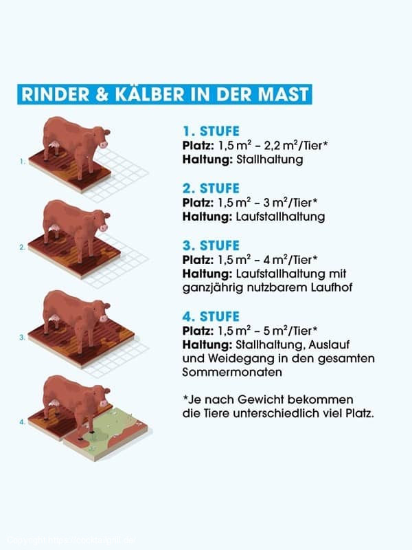 Rinder Haltungsform